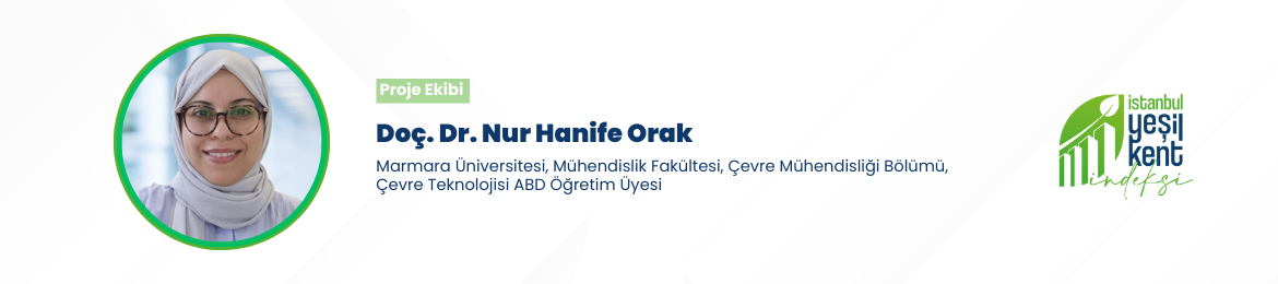 Hanife.png (110 KB)